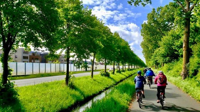 立博网站中文版的学生在绿树成荫的小路上骑自行车